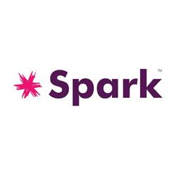 Biuro Rachunkowe SPARK Monika Iskra, Łęczna godziny otwarcia