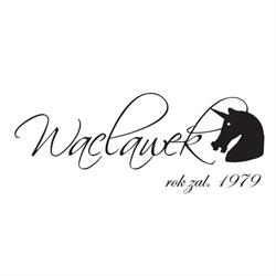 Firma Jubilerska Wacławek, Ustroń godziny otwarcia