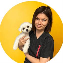 Happy-Pet Anna Witkowska-Wójciak, Wrocław godziny otwarcia