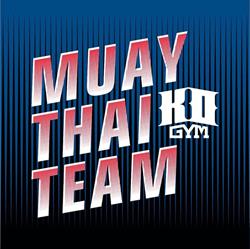 K.O. Gym MuayThai Club., Świebodzice godziny otwarcia