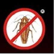 1 "Antyinsekt" Specjalistyczny Zakład Dezynfekcji Dezynsekcji Deratyzacji oraz Zwalczania Szkodników, Poznań godziny otwarcia