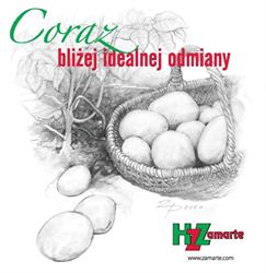 HODOWLA ZIEMNIAKA ZAMARTE SP Z O O GRUPA IHAR, Kamień Krajeński godziny otwarcia