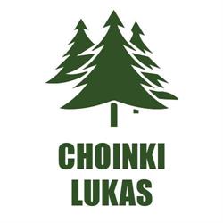 ŁUKASZ WITOSZ LUKAS, Rudołtowice godziny otwarcia