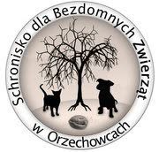 Schronisko Orzechowce, godziny otwarcia