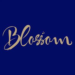 Blossom Coffee & Food, Kraków godziny otwarcia