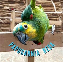 Aquapark Reda, godziny otwarcia