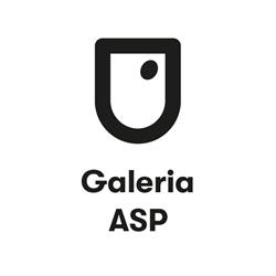Galeria ASP w Krakowie, Kraków godziny otwarcia