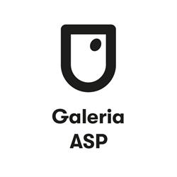 Galeria ASP w Krakowie, Kraków godziny otwarcia