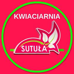 Kwiaciarnia SUTUŁA, Jelenia Góra godziny otwarcia