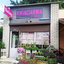 PHU KWIACIARNIA U WIOLI, Gdańsk godziny otwarcia