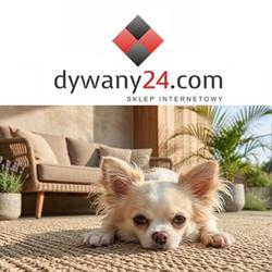Dywany24.com - Sklep z dywanami, Wrocław godziny otwarcia