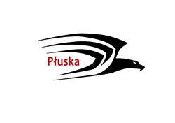 P.P.U.H. Płuska Mirosław, Wieruszów godziny otwarcia