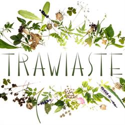 Trawiaste, Kamienna Góra godziny otwarcia
