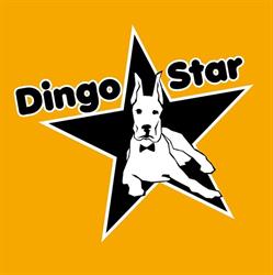 Dingo Star, Warszawa godziny otwarcia