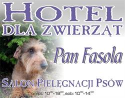 HOTEL DLA ZWIERZĄT PAN FASOLA, Jarużyn godziny otwarcia