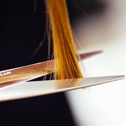 Tomasz Styczeń Trendy Hair Fashion, Chorzów godziny otwarcia