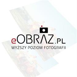 eOBRAZ.pl, Jasło godziny otwarcia