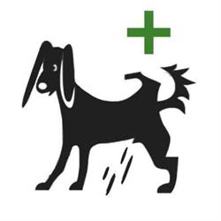 Przychodnia Weterynaryjna Na Warszewie, Szczecin godziny otwarcia