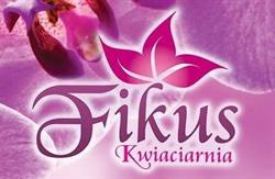 Kwiaciarnia Fikus, Katowice godziny otwarcia