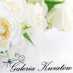 Galeria Kwiatów, Wałbrzych godziny otwarcia