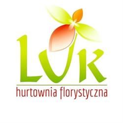 LUK /// HURT IMPORT EXPORT MACIEJ PRZYWARSKI, Rzgów godziny otwarcia