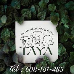 TAYA Profesjonalny Salon Pielęgnacji Psów Ochla / Zielona Góra, godziny otwarcia