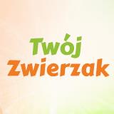 FHU Sklep Zoologiczny "Twój Zwierzak" Kamila Sylwester, Kłodzko godziny otwarcia