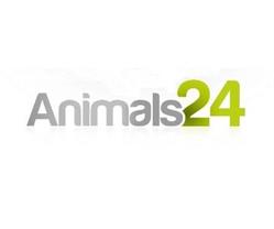 Animals24, Jelenia Góra godziny otwarcia