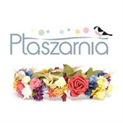Ptaszarnia, Lublin godziny otwarcia