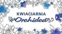 Kwiaciarnia Orchidea, Augustów godziny otwarcia