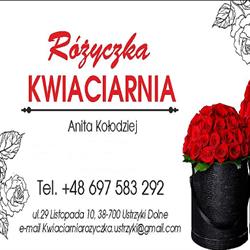 Kwiaciarnia Różyczka, Ustrzyki Dolne godziny otwarcia