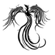OSK Fenix, Tczew godziny otwarcia