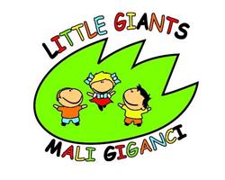 MONTESSORI, Niepubliczne Przedszkole i Żłobek Little Giants - Mali Giganci, Pszczyna godziny otwarcia