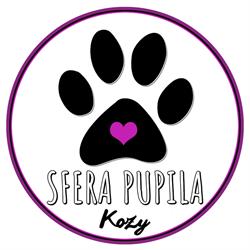 Sfera Pupila, Kozy godziny otwarcia