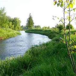 Spływy kajakowe Drzewiczką, Drzewica godziny otwarcia