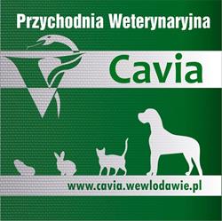 Przychodnia weterynaryjna "Cavia", Włodawa godziny otwarcia