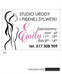 Studio Urody i Pięknej Sylwetki Emily, Buk godziny otwarcia