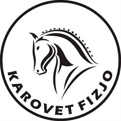 Ośrodek zoofizjoterapii zwierząt i nauki jazdy konnej Karovet Fizjo, Szpetal Górny godziny otwarcia