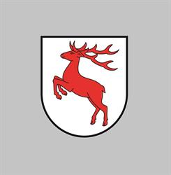 Powiat Brodnicki, Brodnica godziny otwarcia