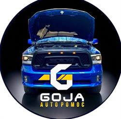 Goja Autopomoc Ram Serwis, Aleksandrów Łódzki godziny otwarcia