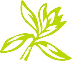 Jubilatka, Białogard godziny otwarcia