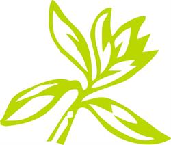 Jubilatka, Białogard godziny otwarcia