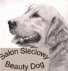 Salon Sieciowy Beauty Dog, Poznań godziny otwarcia