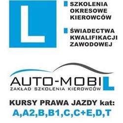 Auto-Mobil OSK Zasadziński Henryk, Międzyrzec Podlaski godziny otwarcia