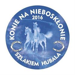 Stajnia "Konie na nieboskłonie", Rokiciny godziny otwarcia