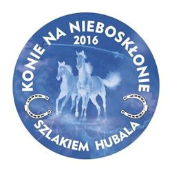 Stajnia "Konie na nieboskłonie", Rokiciny godziny otwarcia