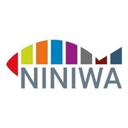 Oblackie Centrum Młodzieży NINIWA, Lubliniec godziny otwarcia