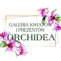 Galeria Orchidea, Żmigród godziny otwarcia