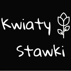 Kwiaciarnia Stawki, Toruń godziny otwarcia