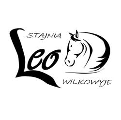 Stajnia LEO Wilkowyje, Tychy godziny otwarcia